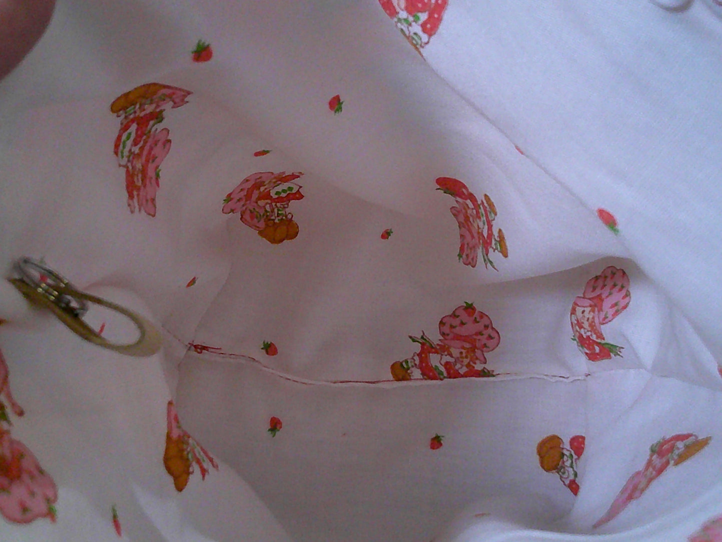 Strawberry in basket ~ project bags