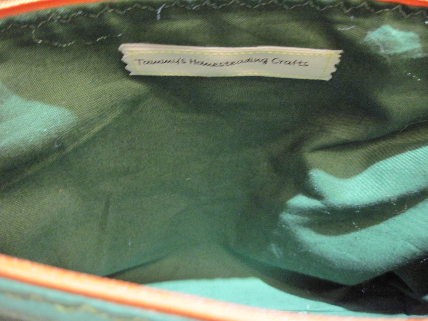 Medium Pumpkin with Green Project bag