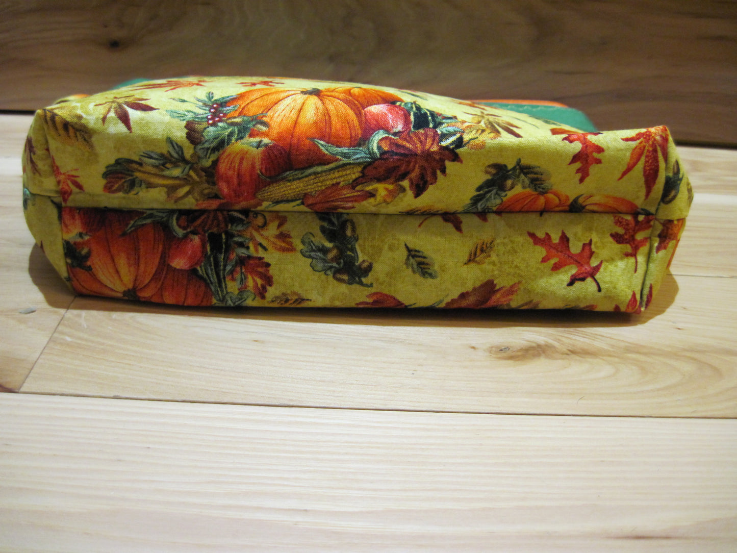 Medium Pumpkin with Green Project bag