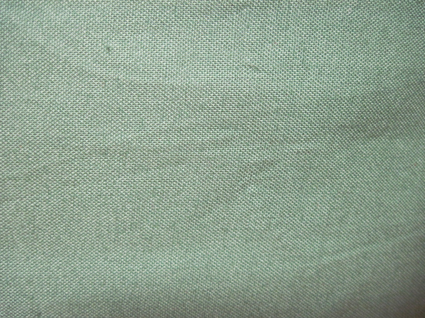 Medium Apple with Green zipper Project bag