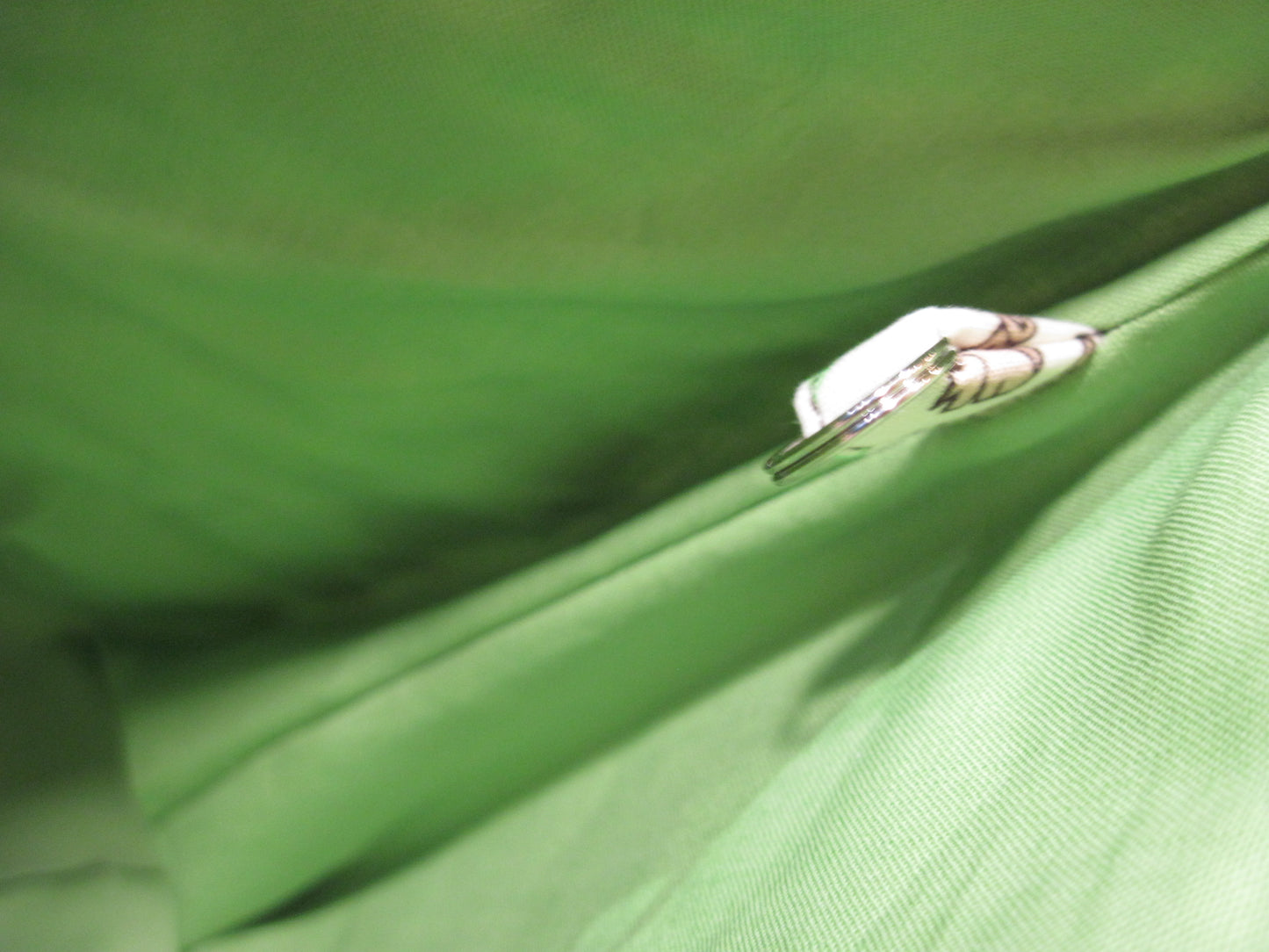 Baby Groot w/ lime green ~ project bags