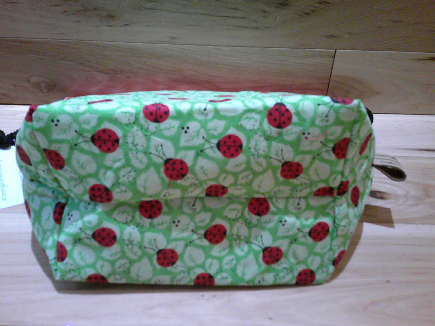 Lady Bug ~ Project bags