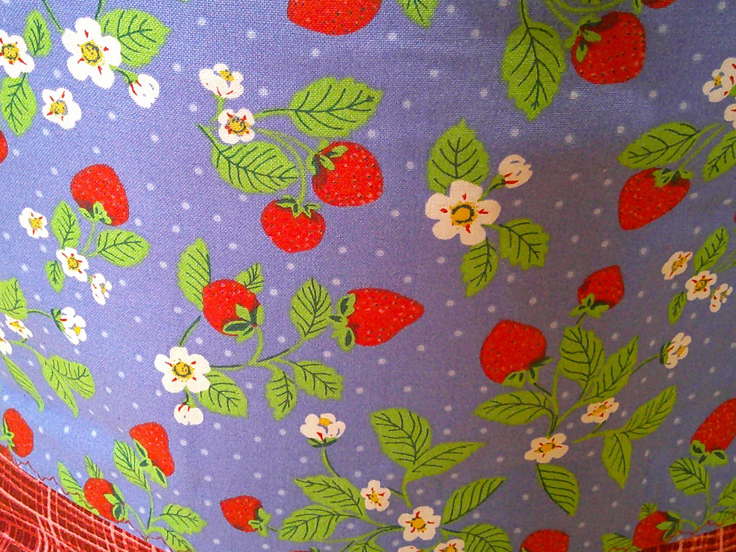 Strawberries on the vine ~ project bags