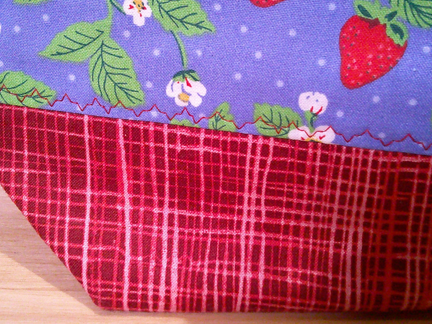 Strawberries on the vine ~ project bags