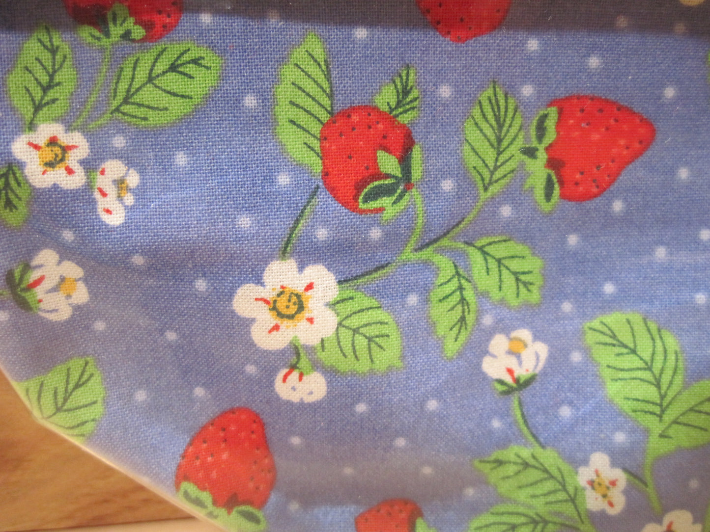 Notion's Bag Strawberries w/ yellow zipper